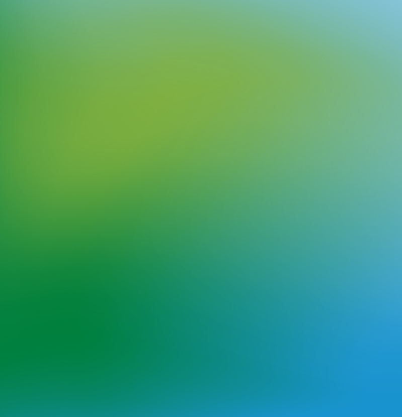 HSSE: Built into Everything We Do